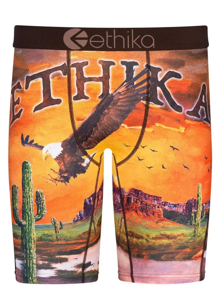 Ethika - Staple Undies (Mens) 2