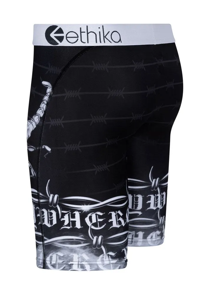 Ethika - Staple Undies (Mens) 2