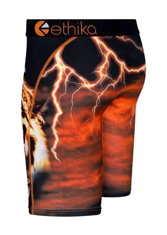 Ethika - Staple Undies (Mens) 2