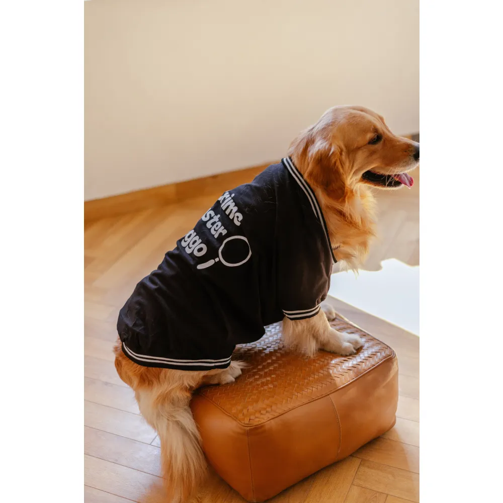 Pet Set Go Crime Master Sleevless T-shirt for Dogs (Black)